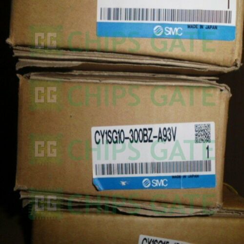 SMC CY1SG10-300BZ-A93V