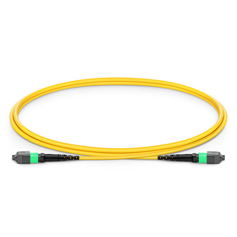 MTP-16 APC Female 16 Fibers Trunk Cable, OFNP/LSZH Single Mode (OS2) Patch Cable