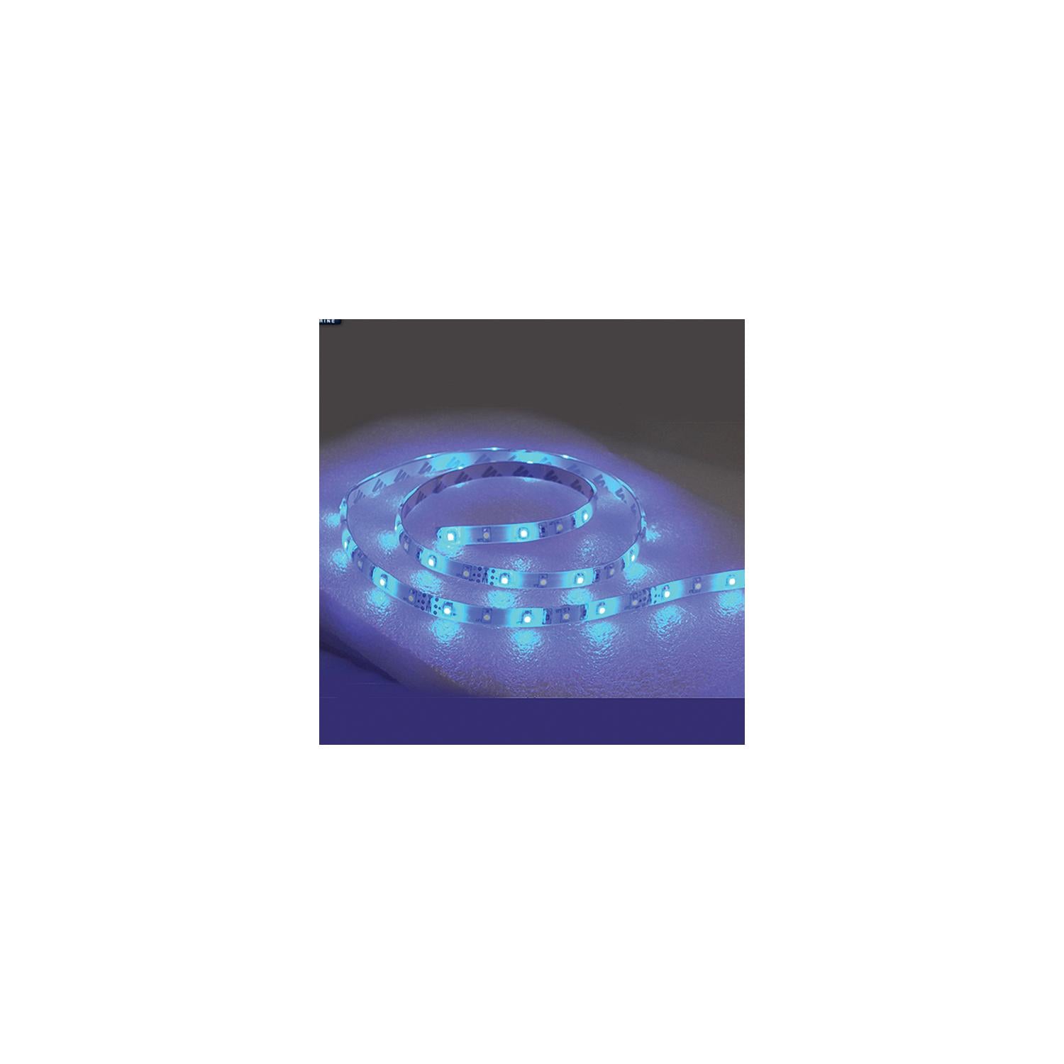 TH Marine LED-SM22-B-DP T-H Marine LED Flat Rope Lights