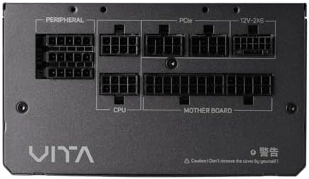 FSP VITA GM 1000W Power Supply, 80 Plus Gold, ATX 3.1/PCIe 5.1, Full Modular, 10 Year Warranty (VITA-1000GM