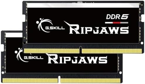 G.SKILL Ripjaws DDR5 SO-DIMM Series DDR5 RAM 16GB (1x16GB 4800MT/s CL34-34-34-76 1.10V Unbuffered Non-ECC Notebook/Laptop Memory SO-DIMM (F5-4800S3434A16GA1-RS