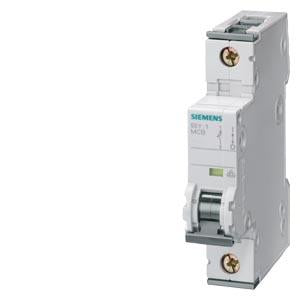 SUP PTOR 5SY5 1P IEC 230V 2A 10K C-TRIP