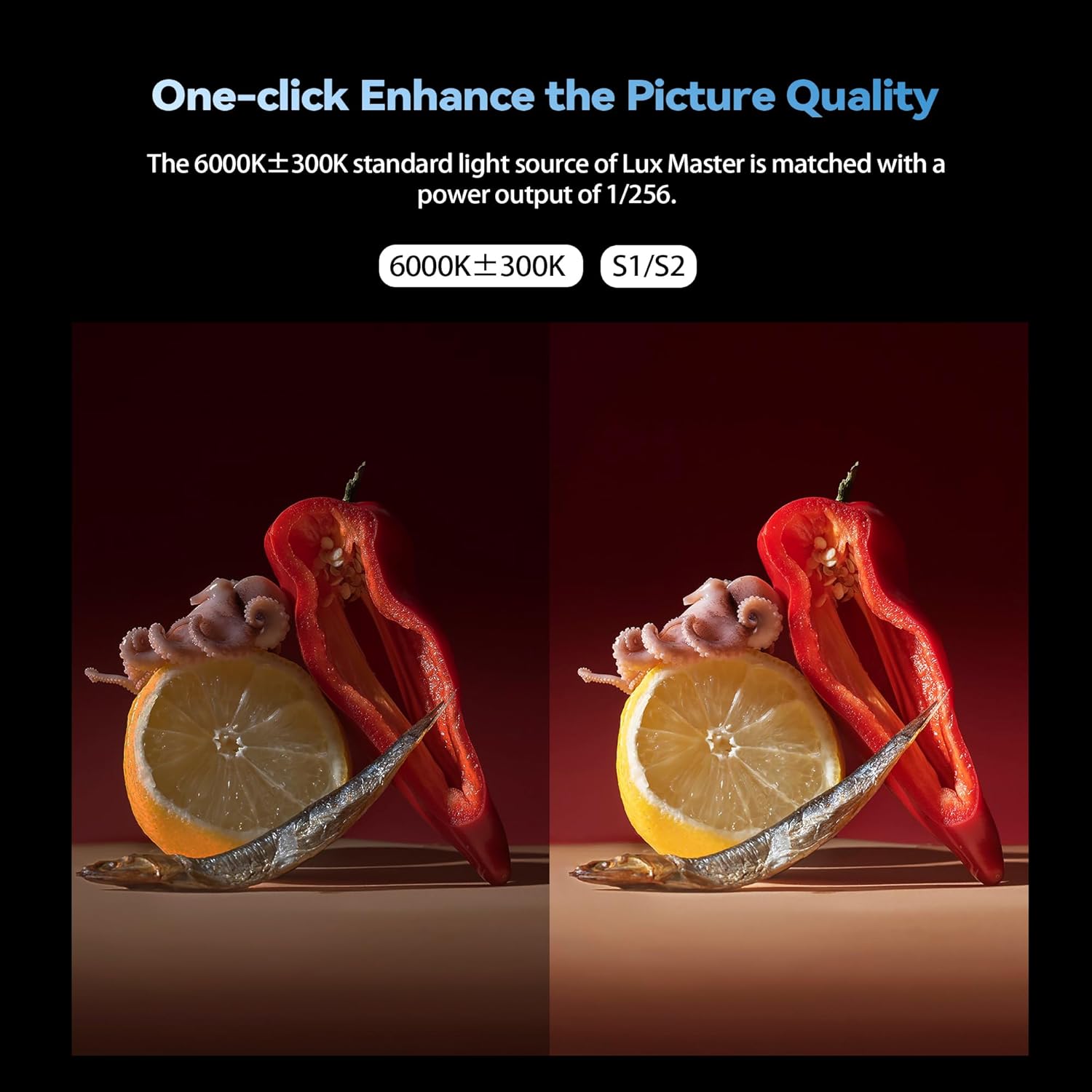 Godox Lux Master Retro Camera Flash