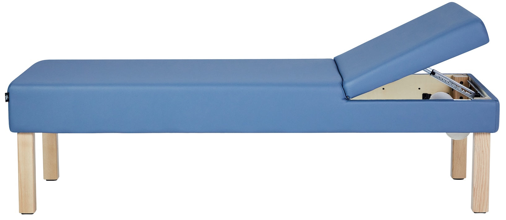 Lucas Recovery Couch w/ Adjustable Headrest & Antimicrobial Upholstery