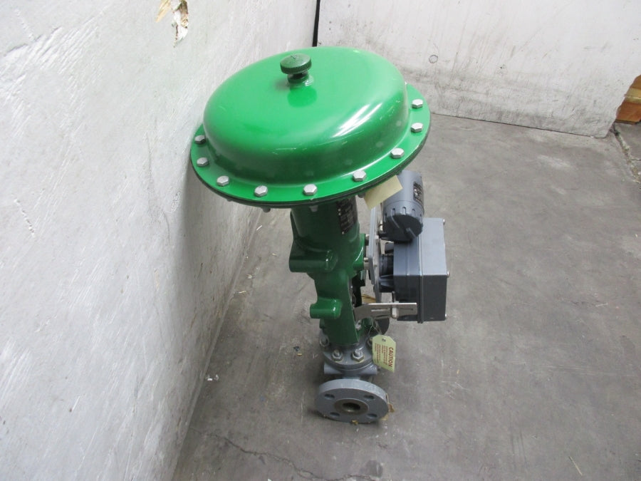 FISHER 667 EZ 0-33PSI 1 1/2" NSNP