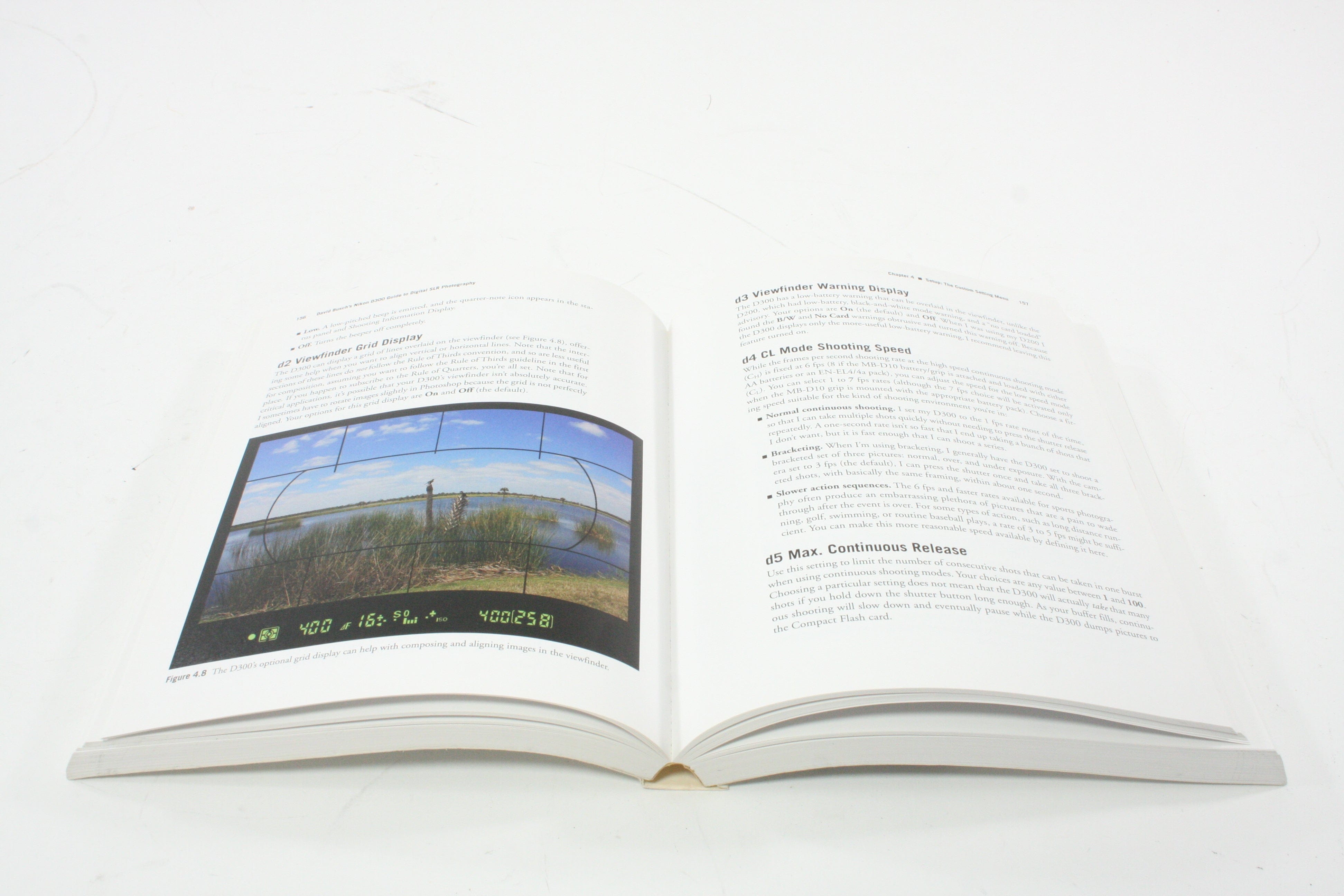 David Busch's Nikon D300 Guide to DSLR Photography