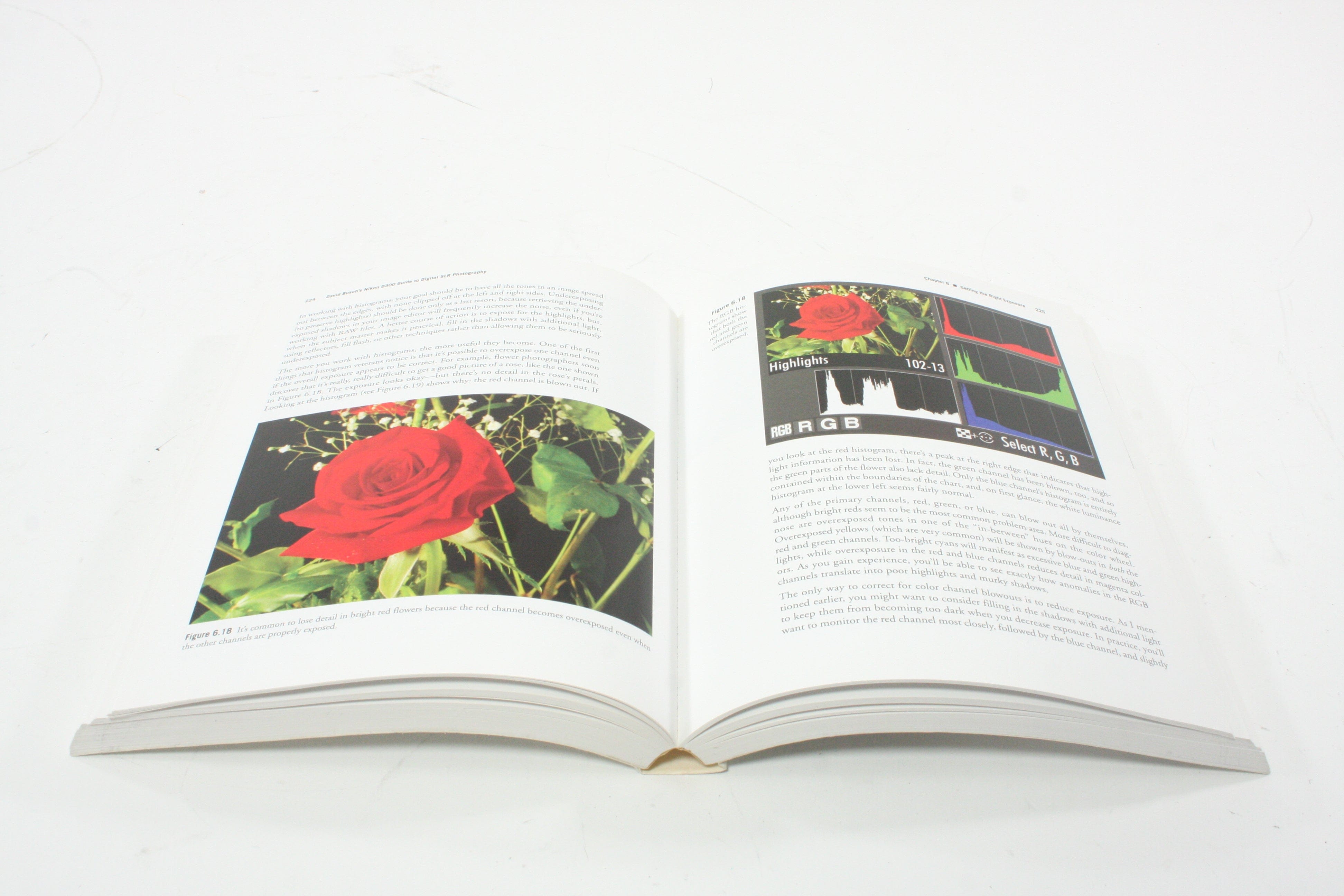 David Busch's Nikon D300 Guide to DSLR Photography