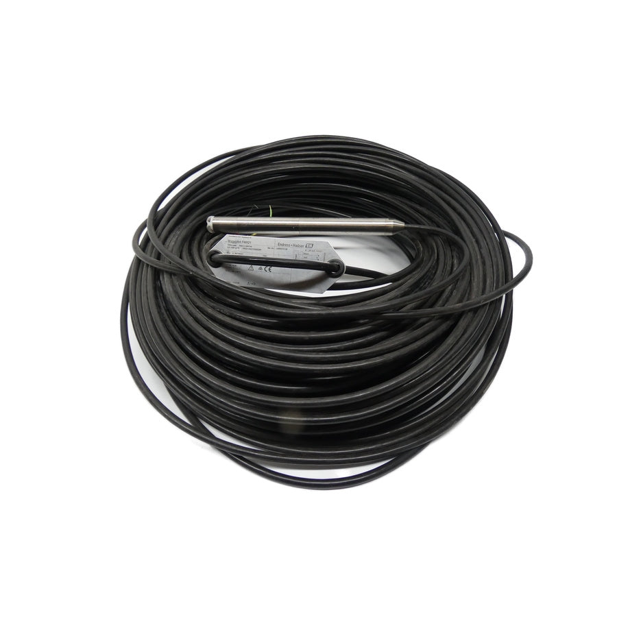 ENDRESS+HAUSER FMX21-19H73/0 FMX21-AA211QGE25H 10.5-35VDC UNMP