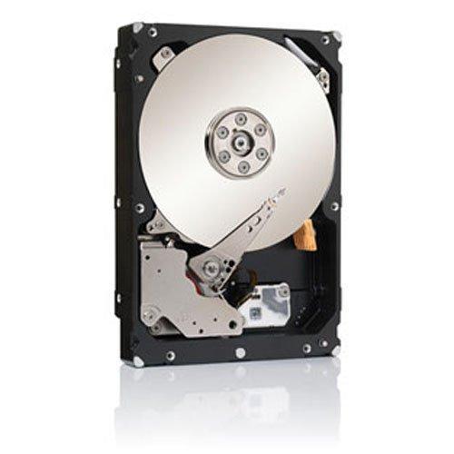 Seagate 2TB Enterprise Capacity HD SAS 6Gb/s 128MB Cache 3.5-Inch Internal Bare Drive (ST2000NM0023) - AloinfoUSA