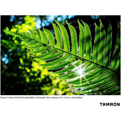 Tamron 17-50mm f/4 Di III VXD Lens (Sony E)