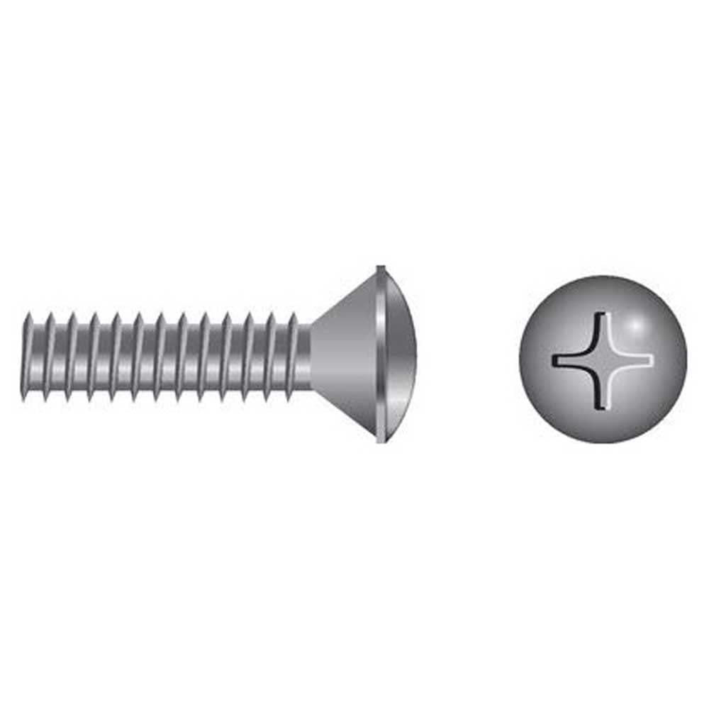 Seachoice Phillips Machine Screws, Oval Head, 1/4-20 x 1"