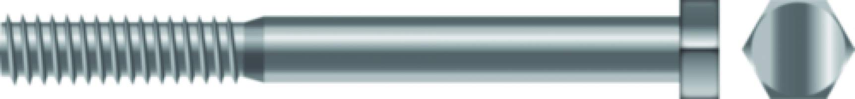 Seachoice SC0106 Cap Screw Hex Head, 3/8"-16 x 3"