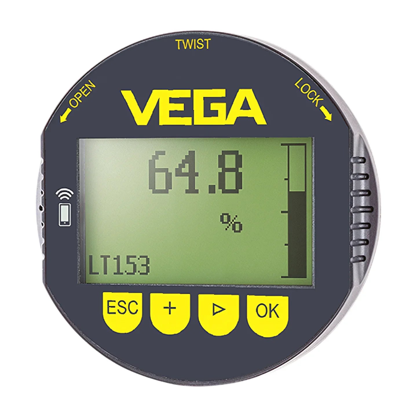 VEGA VEGADIS 82 External display and adjustment unit Indicating Instruments