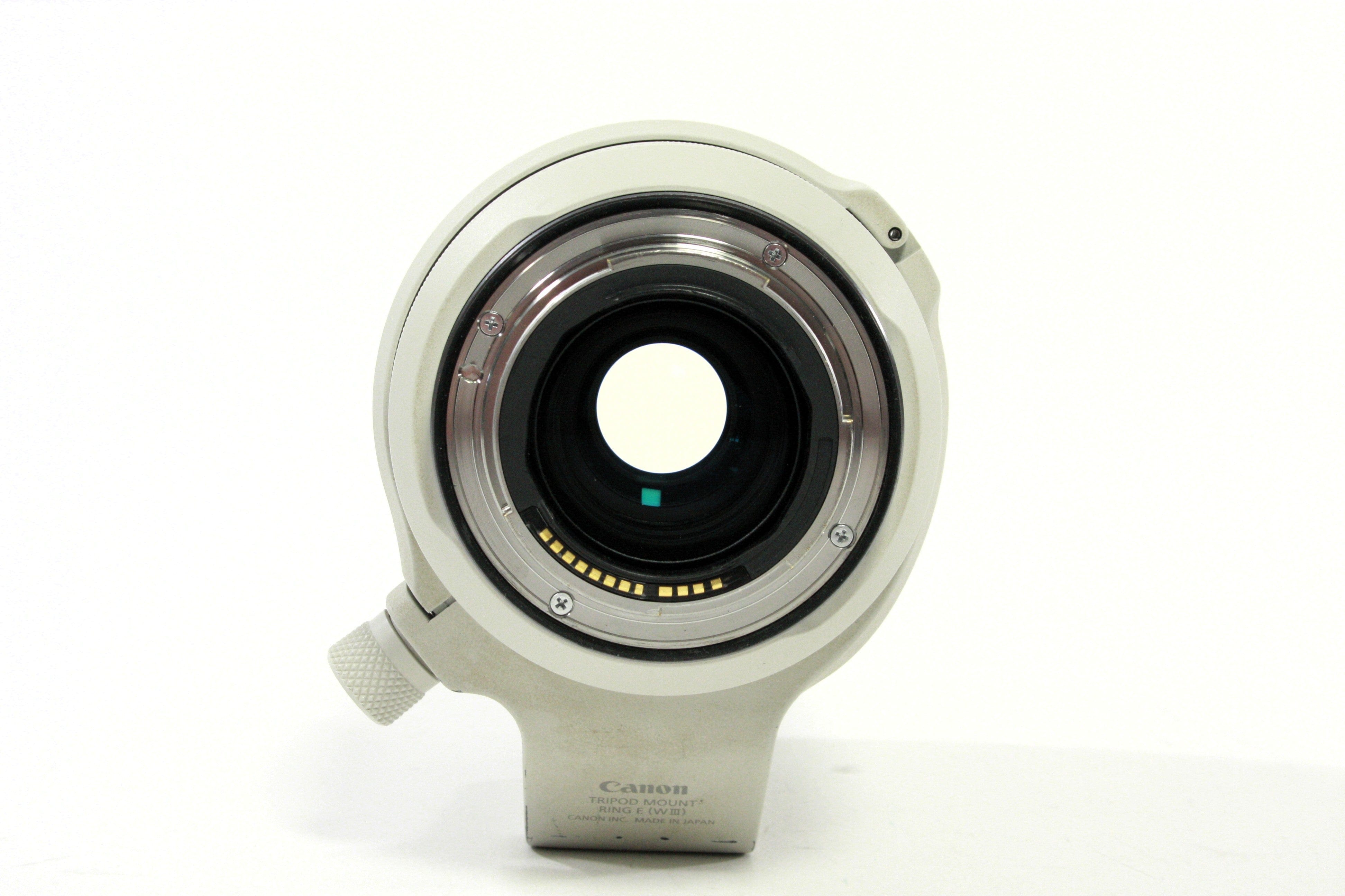 Canon RF 70-200mm F/2.8 L Lens