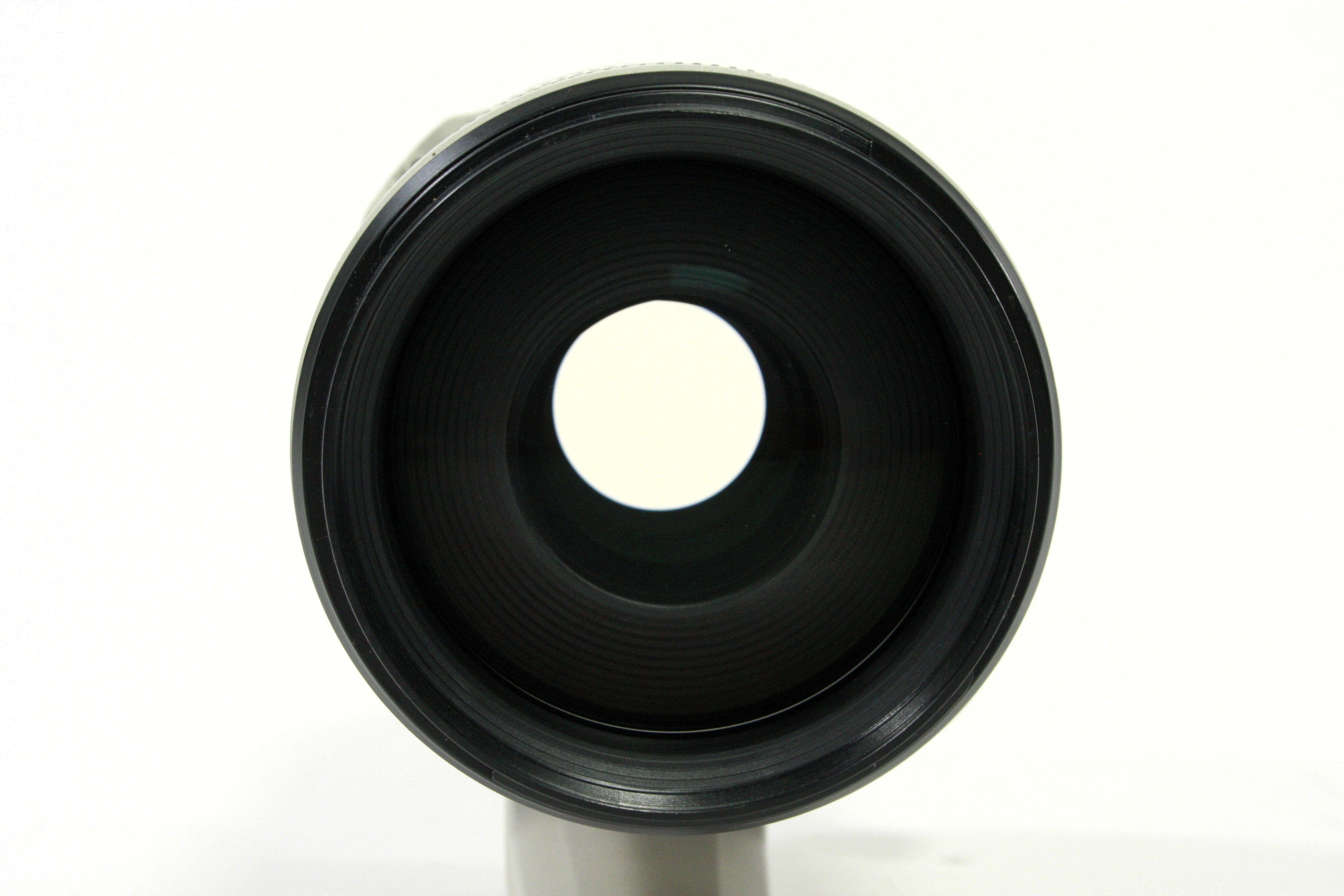 Canon RF 70-200mm F/2.8 L Lens