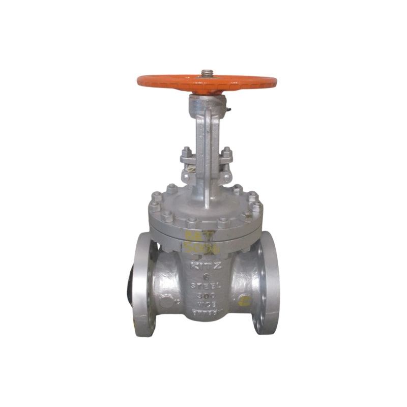 KITZ 300SCLS 740PSI 6" B16.34:-29 NSNP