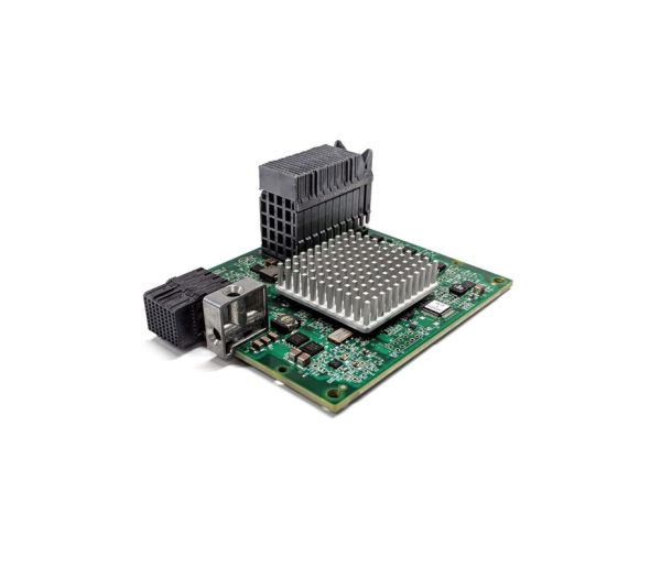 QMI2592-IBM - IBM Dual-Ports 8Gb/s Fibre Channel Network Adapter