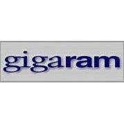 16GB DELL Poweredge Memory Upgrade PC3-12800 DDR3-1600 SNP20D6FC/16G, A6994465 by Gigaram - AloinfoUSA